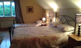 Отели типа «постель и завтрак» White Swan Sherlockstown Двухместный номер Делюкс с 1 кроватью-8