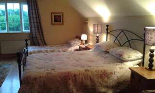 Отели типа «постель и завтрак» White Swan Sherlockstown Двухместный номер Делюкс с 1 кроватью-17